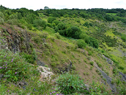 Vegetated slopes