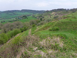 West face of the hill