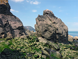 Fallen rock at low tide