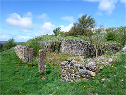 Ruined cottage