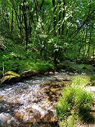 River Fowey