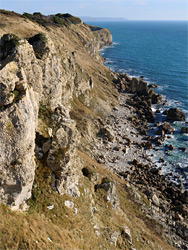 Cliffs east of Dungy Head