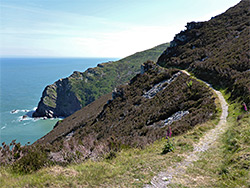 Heather-covered slope