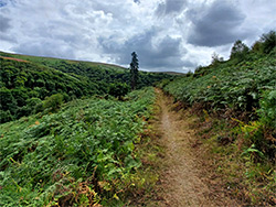 Path above East Water