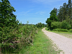 View north along the track