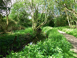 Flagham Brook