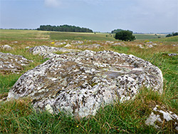 Grass and stones