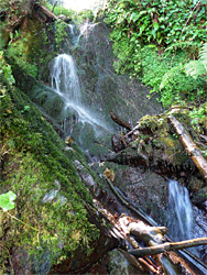 Cascades at Glenthorne Beach