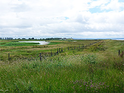 Goldcliff Lagoons