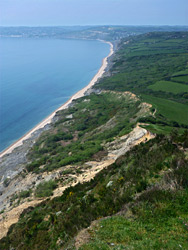 Golden Cap - view west