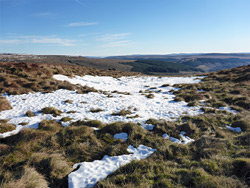 Patch of snow