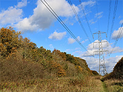 Pylons