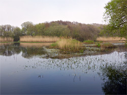 Greenland Lake