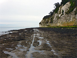 Under the cliffs