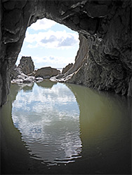 Reflections on a pool