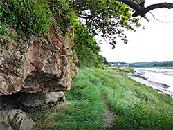 Cliff and saltmarsh