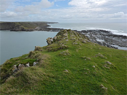 Top of Inner Head