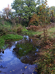 Wide pool