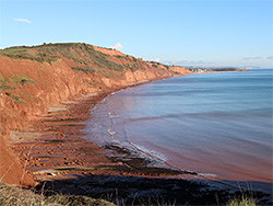 Littleham Cove