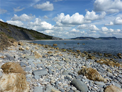 Cliffs near Lyme Regis