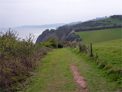 Path near Mackerel Cove