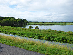 Meare Heath