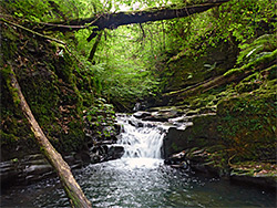 Narrow place on the stream