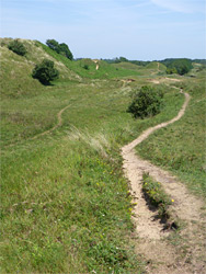 Sandy paths