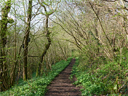 Path above the valley