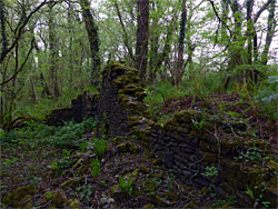 Ruined cottage