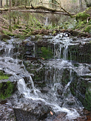 Trickling cascade