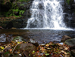 Leaves, pool and waterfall