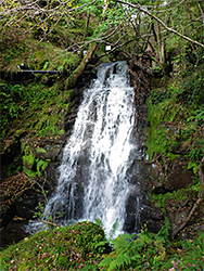 The tallest waterfall