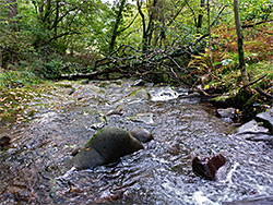 Nant Cynafon