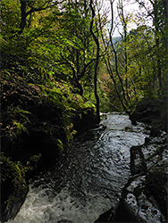 Above a waterfall