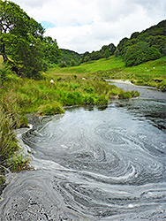 Wooded valley