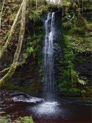 Tributary falls