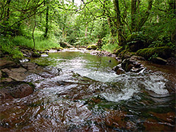 Cascade and pool