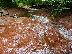 Red mudstone