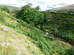 Nant Tawe-Fechan