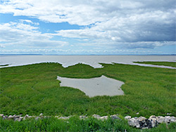 Saltmarsh