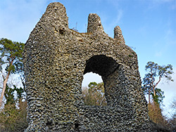 Trees behind the castle