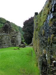 Moss-covered wall