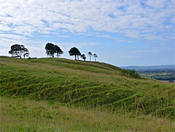 Sloping grassland