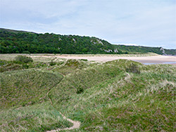 Path through the dunes