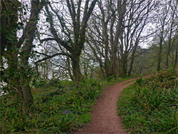 Clifftop path