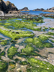 Porth Mear