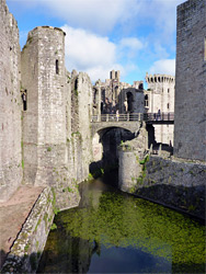 Green water in the moat