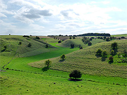 Grassy valley