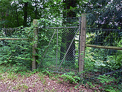 Red helleborine enclosure